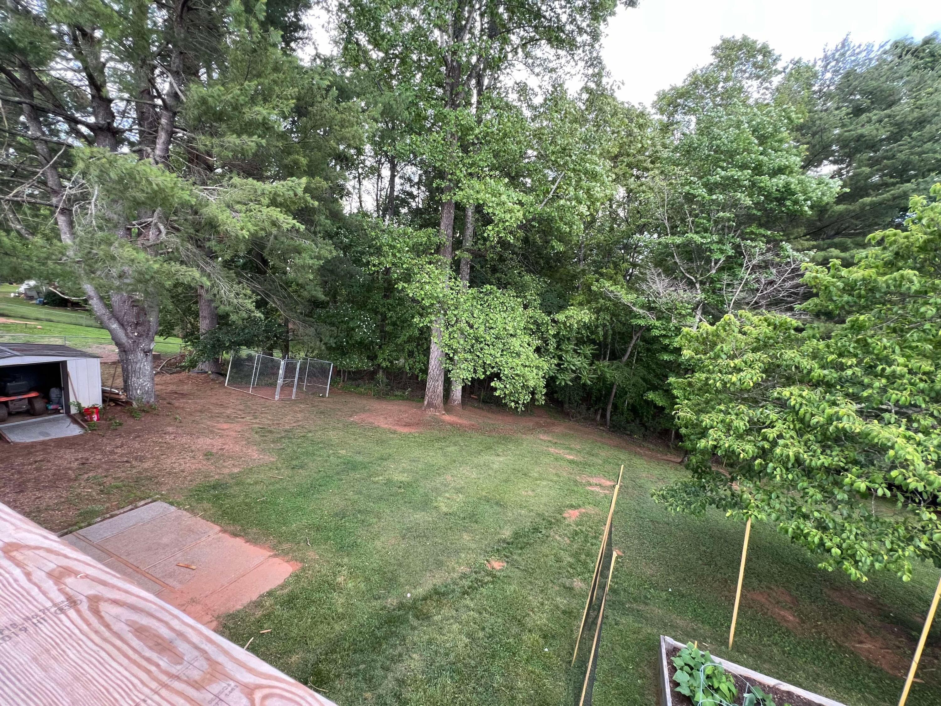 360 Rakes Road Rocky Mount, VA 24151 - Photo 31 of 32 a view of backyard with green space