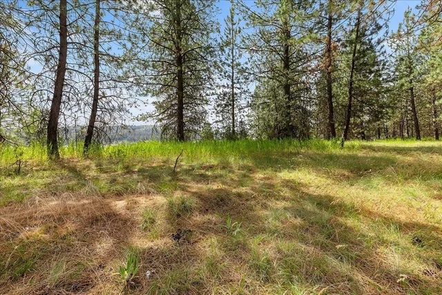 $50,000 | Nna Nna Pinehurst Park Avenue, Spokane, WA 99217