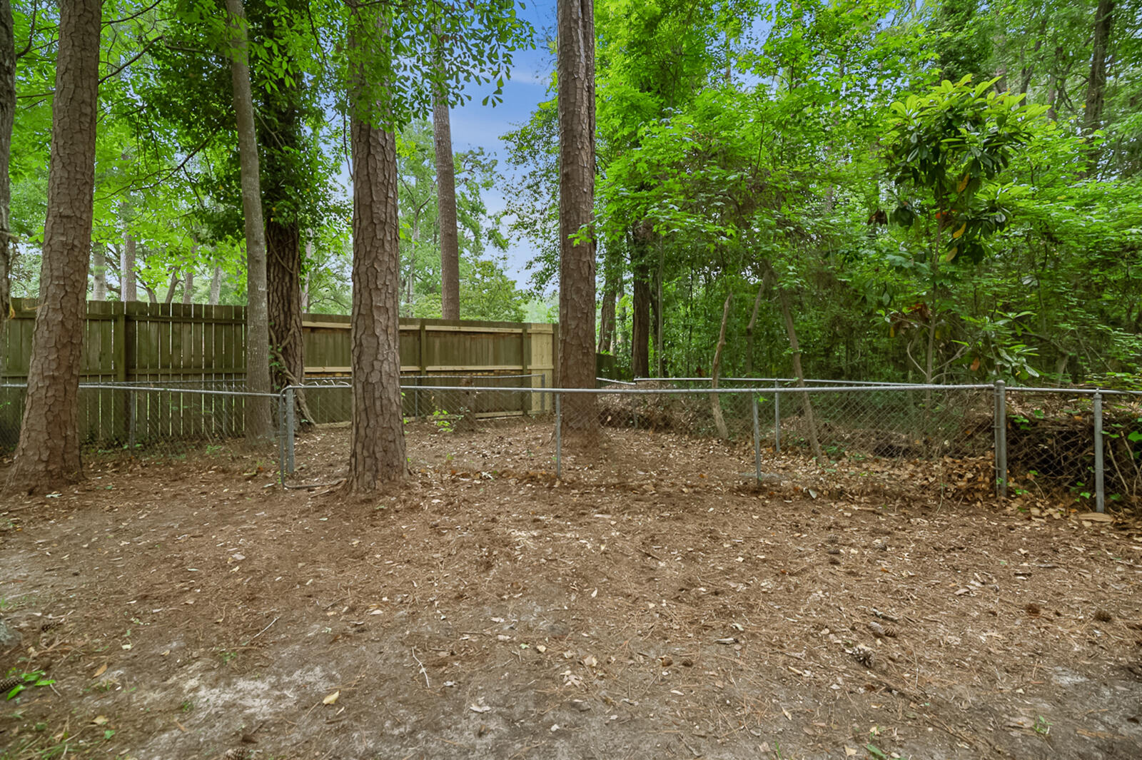 105 Spring Street Summerville, SC 29485 - Photo 31 of 35 105 Spring Street (33 of 35)