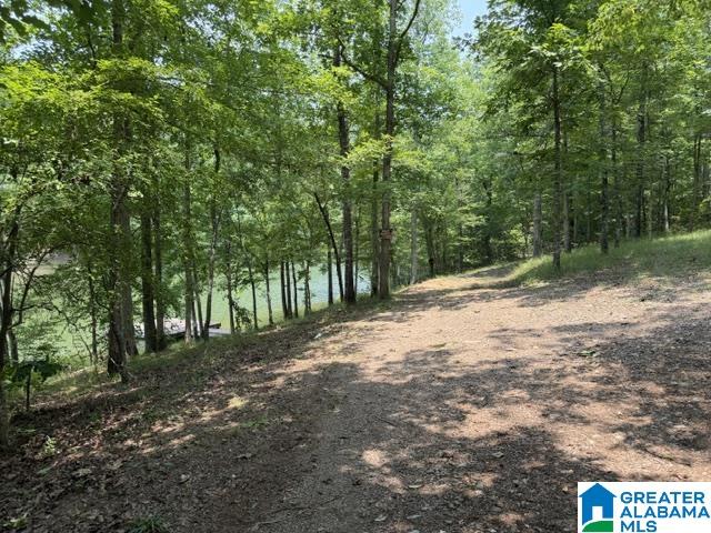 803 County Road Wedowee, AL 36278 - Photo 2 of 6 Gallery Image 2