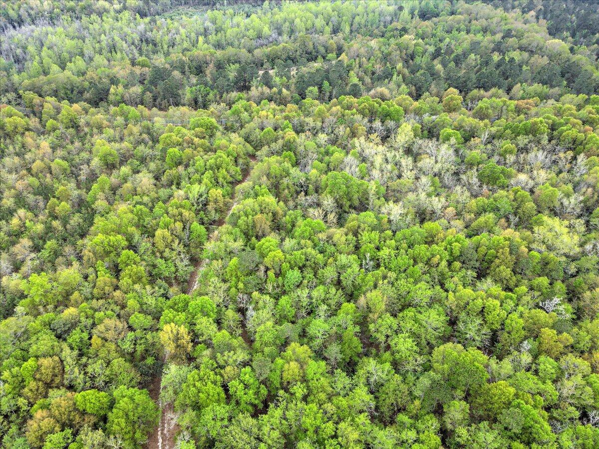 0 Millers Pond Road, Unit LOT 6 Salley, SC 29137 - Photo 10 of 12