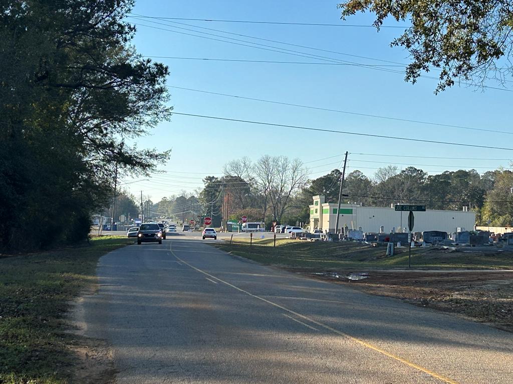 51.8-ac Hadden Road Dothan, AL 36301 - Photo 21 of 43