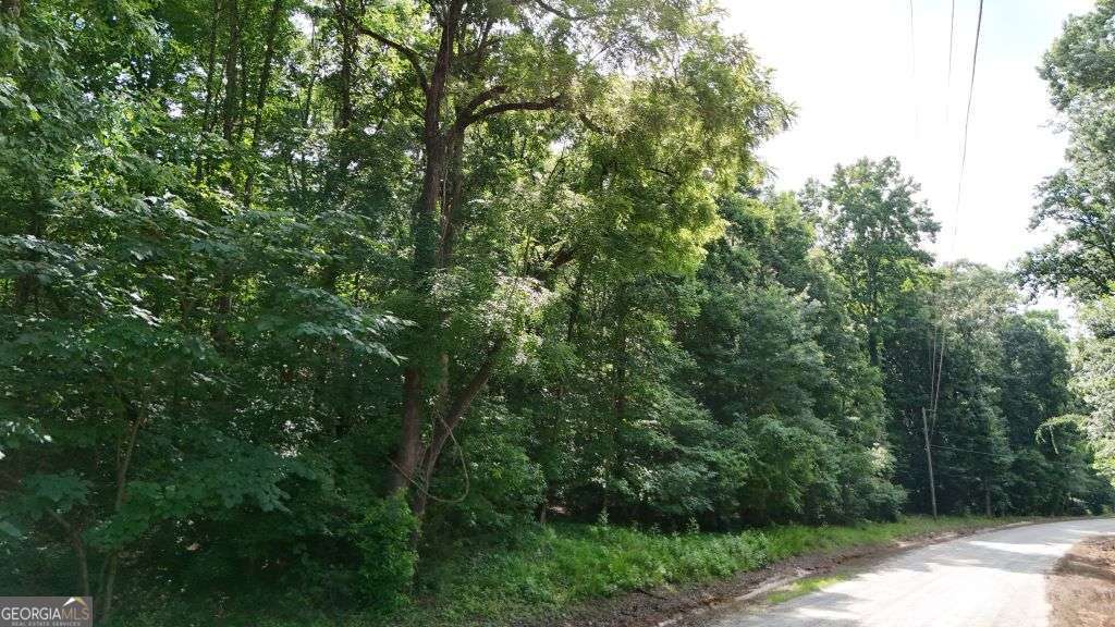 893 Hickory Hills Road Danielsville, GA 30633 - Photo 3 of 7
