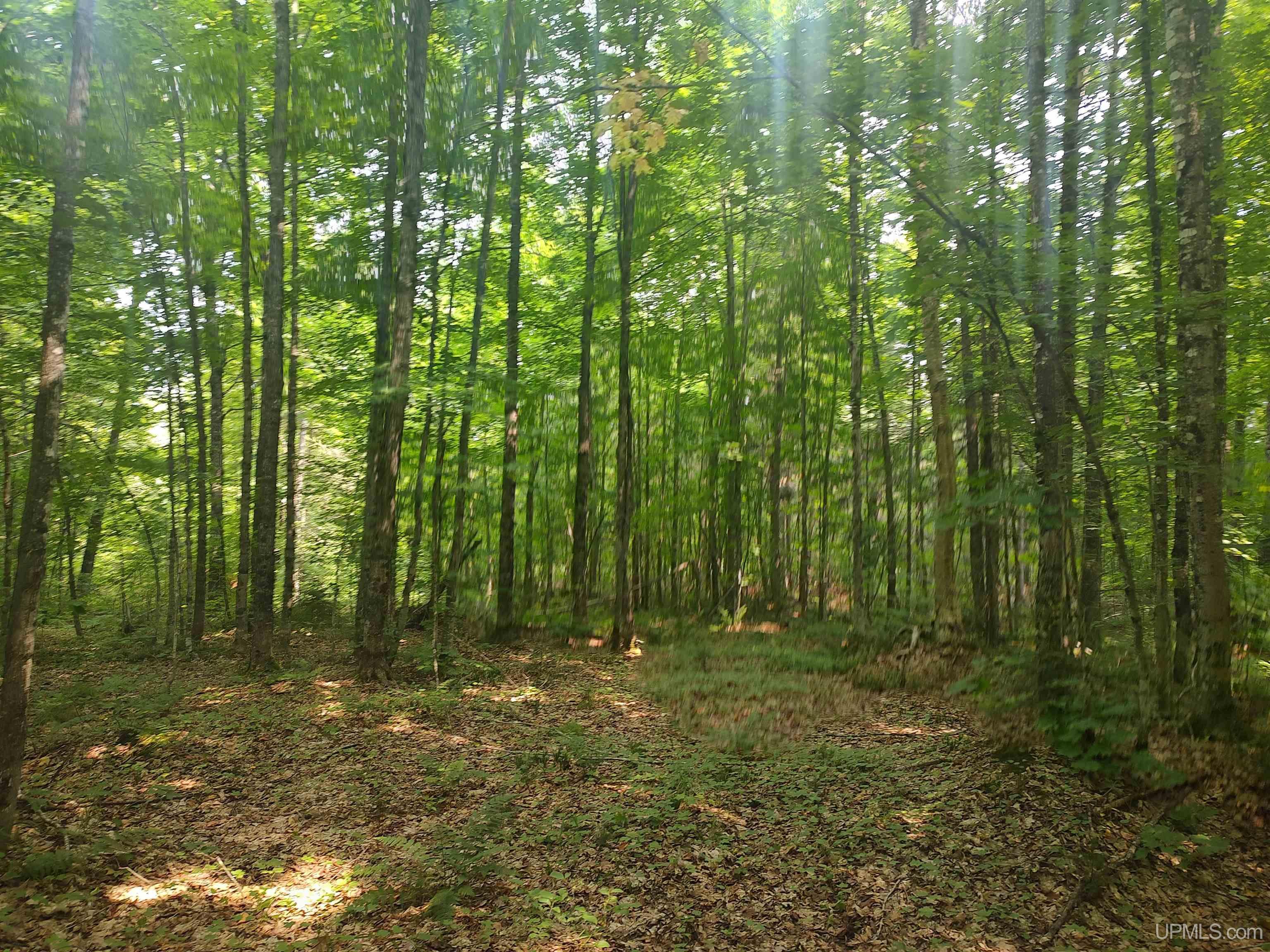 60-acres Sleepy Hollow Road Ishpeming, MI 49849 - Photo 21 of 29