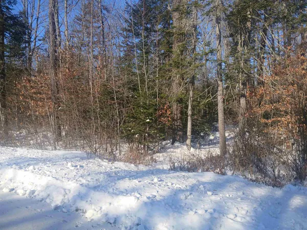 $99,900 | Lot#47-3 Grafton Pond Road, Enfield, NH 03748