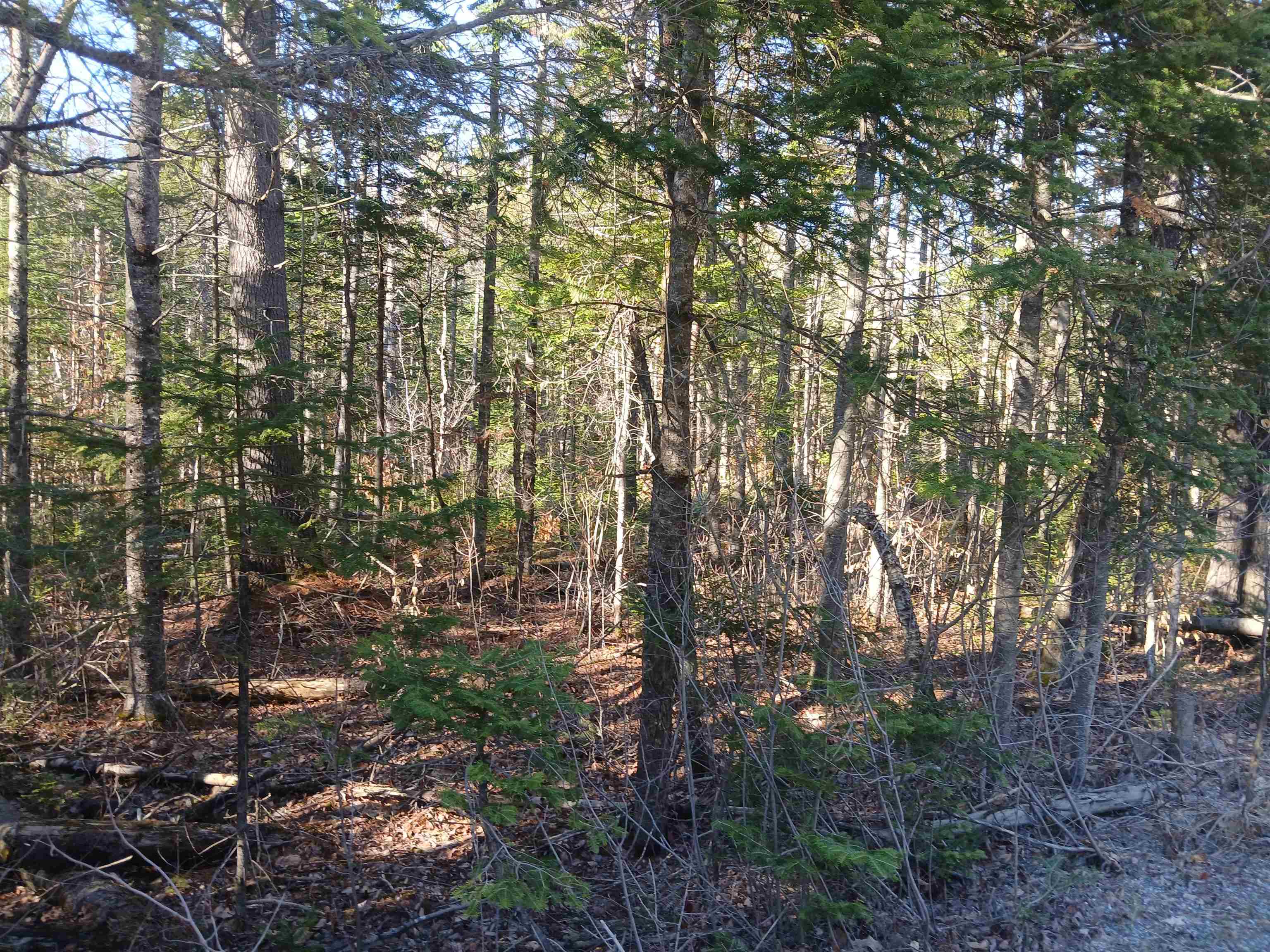 Lot#47-3 Grafton Pond Road Enfield, NH 03748 - Photo 11 of 14