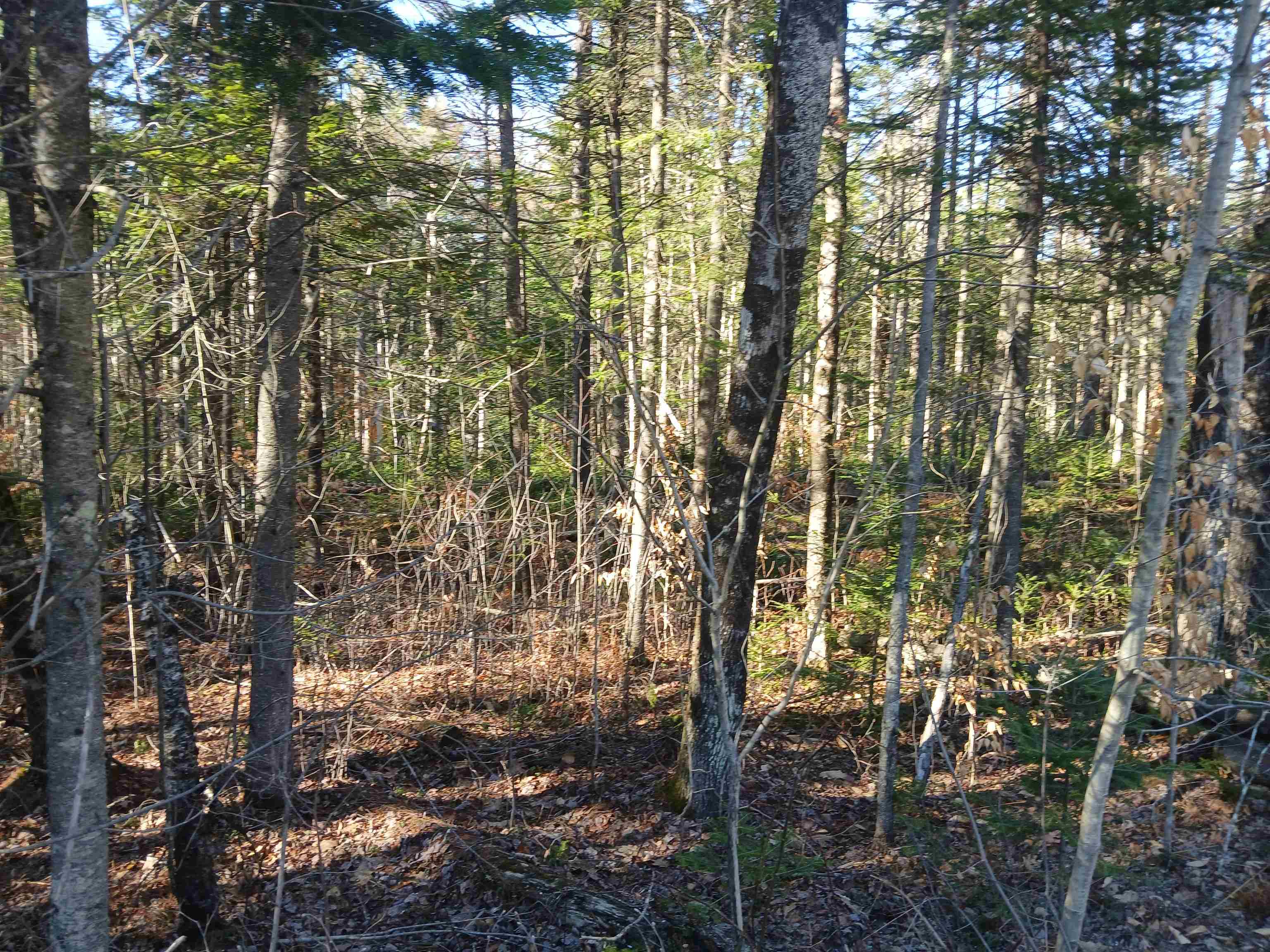 Lot#47-3 Grafton Pond Road Enfield, NH 03748 - Photo 12 of 14