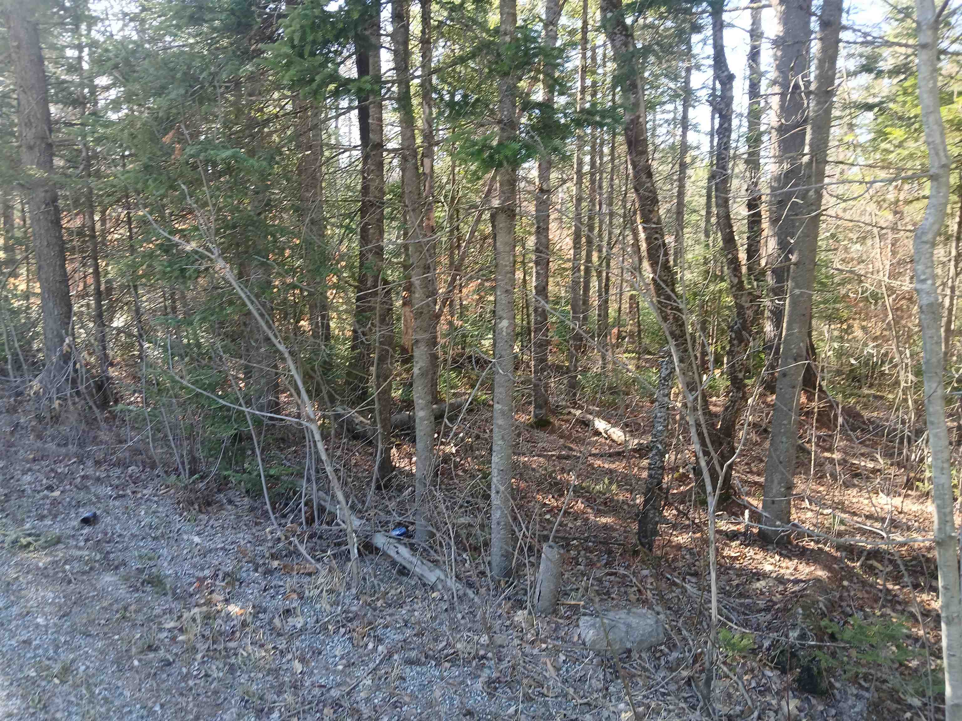 Lot#47-3 Grafton Pond Road Enfield, NH 03748 - Photo 13 of 14