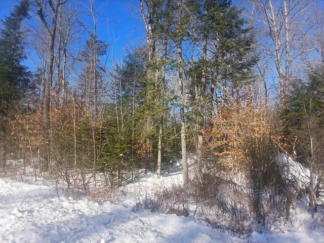$114,995 | Lot#47-3 Grafton Pond Road, Enfield, NH 03748