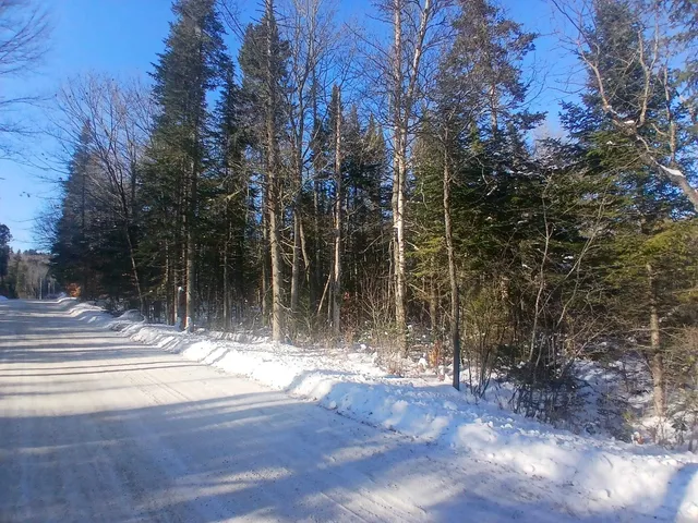 $114,995 | Lot#47-3 Grafton Pond Road, Enfield, NH 03748