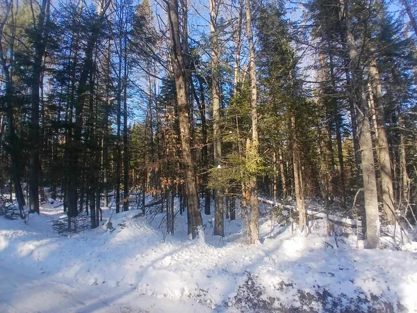 $99,900 | Lot#47-3 Grafton Pond Road, Enfield, NH 03748