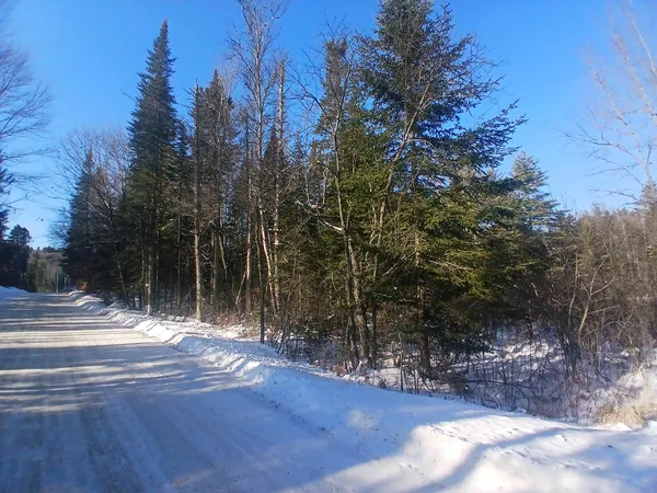 $99,900 | Lot#47-3 Grafton Pond Road, Enfield, NH 03748