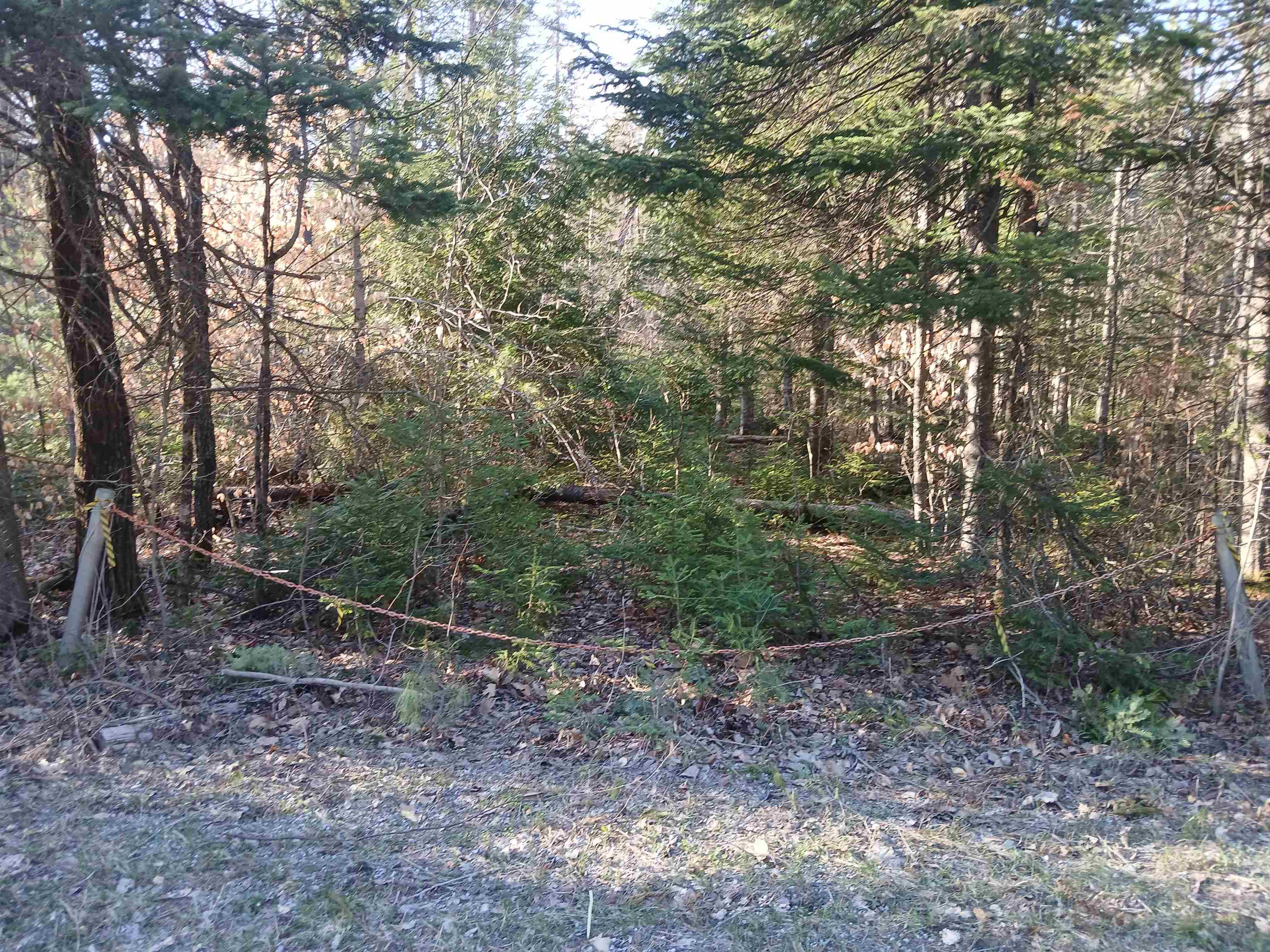 Lot#47-3 Grafton Pond Road Enfield, NH 03748 - Photo 5 of 14