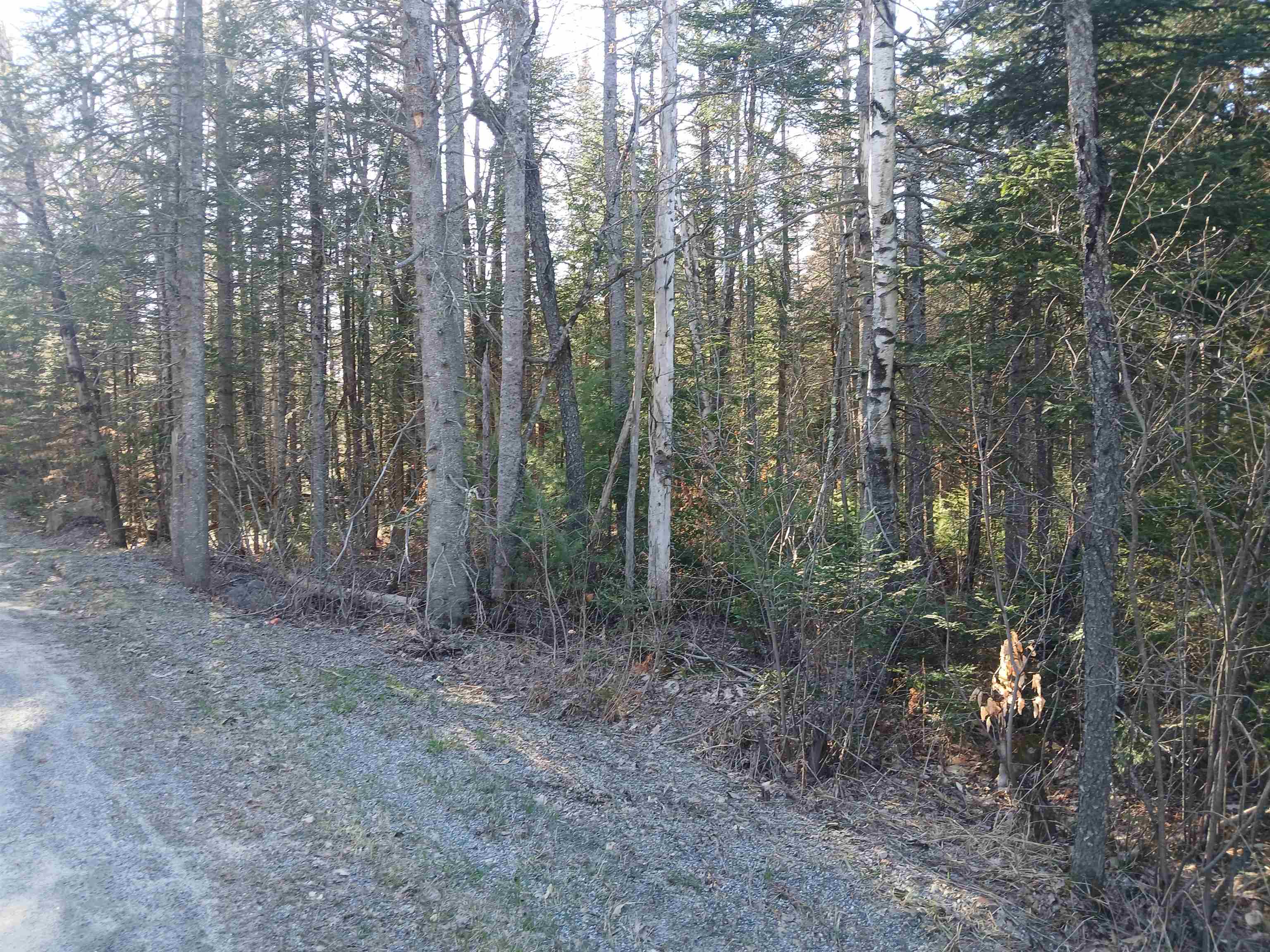 Lot#47-3 Grafton Pond Road Enfield, NH 03748 - Photo 9 of 14