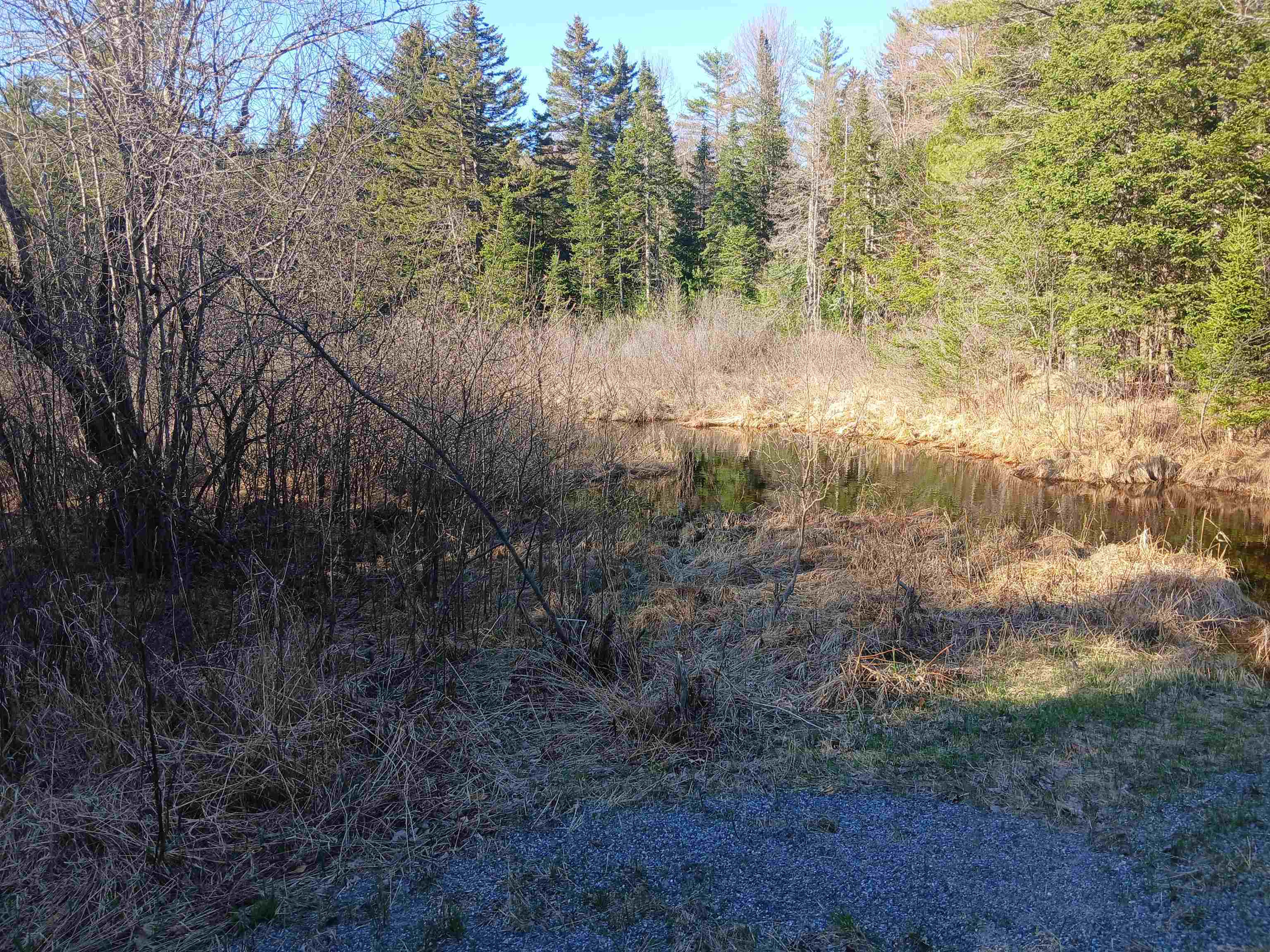 Lot#47-3 Grafton Pond Road Enfield, NH 03748 - Photo 10 of 14