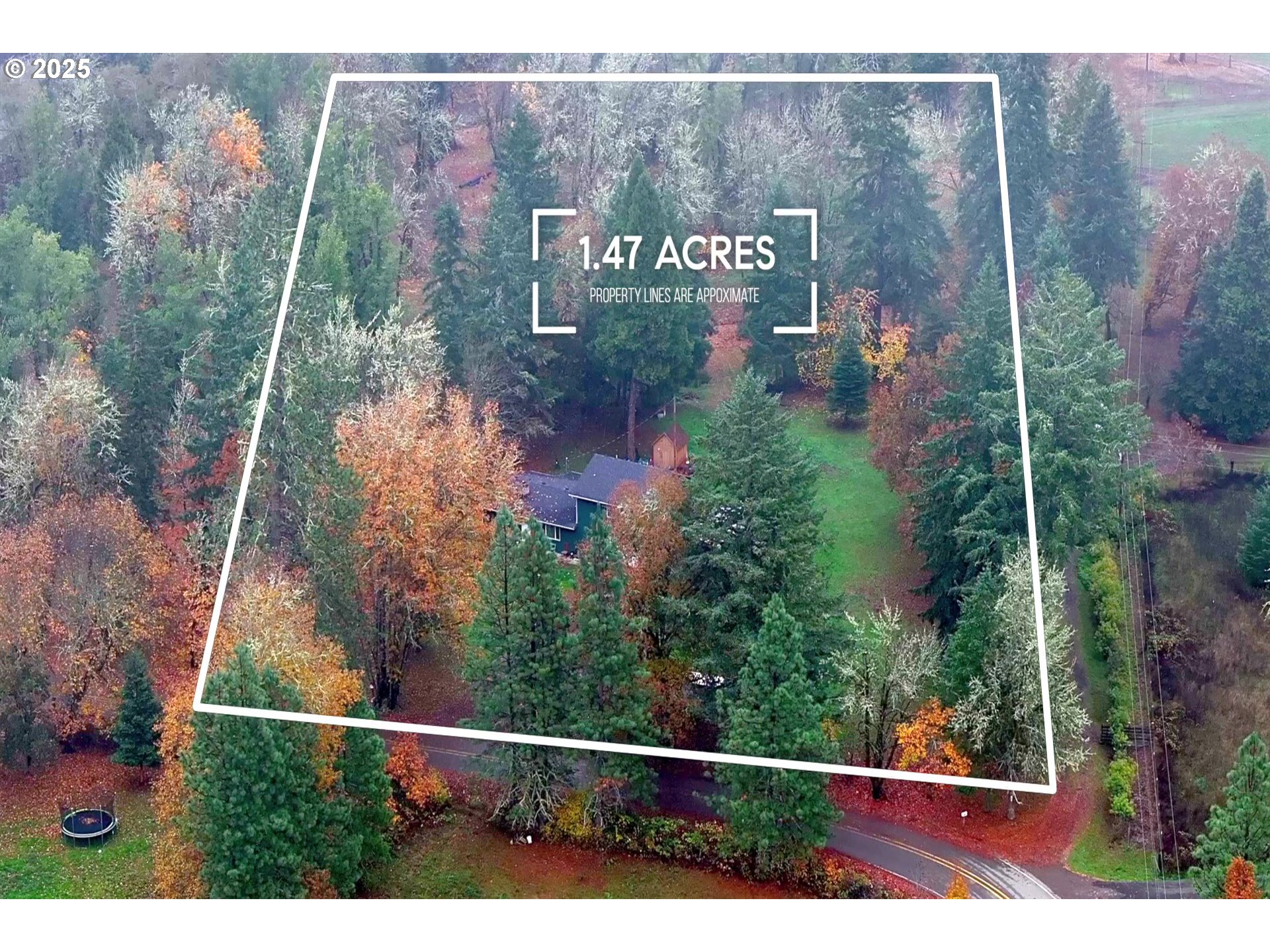 164 Moon Hill Road Tenmile, OR 97481 - Photo 36 of 37