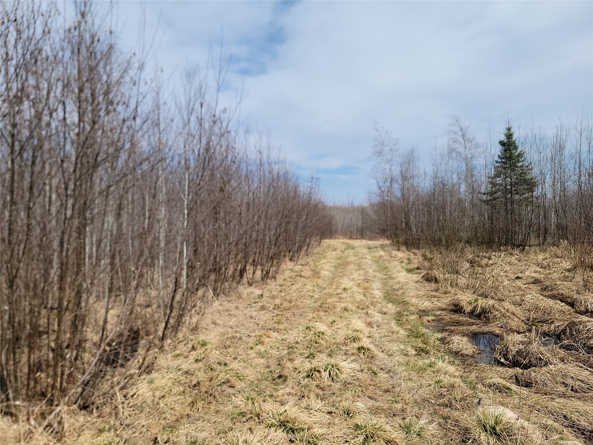 On Elderwood Road Phillips, WI 54555 - Photo 4 of 13