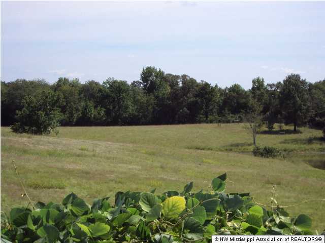 0 Teasdale Road Enid, MS 38927 - Photo 2 of 4 Additional Photo