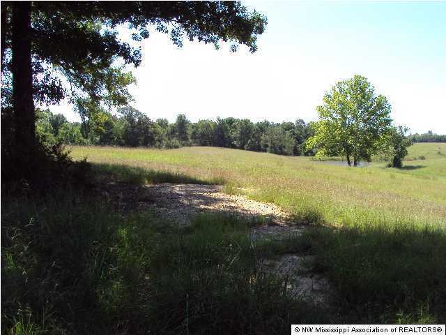 0 Teasdale Road Enid, MS 38927 - Photo 3 of 4 Additional Photo