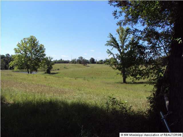 0 Teasdale Road Enid, MS 38927 - Photo 4 of 4 Additional Photo