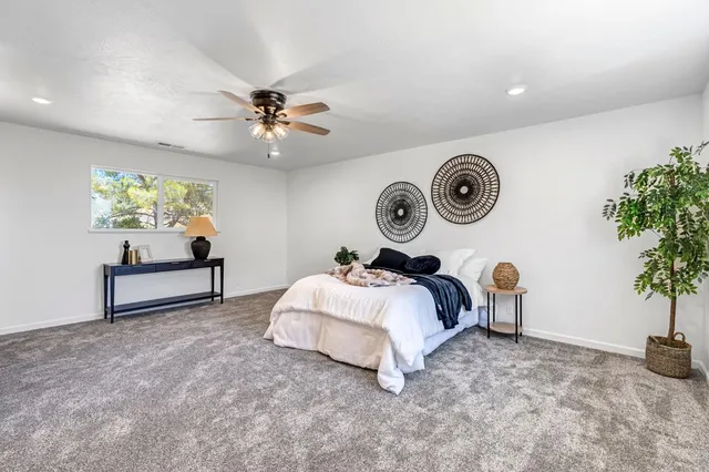 a spacious bedroom with a bed and a potted plant