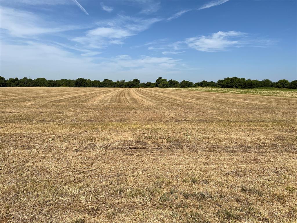 Lot 3 Rodgers Road Sadler, TX 76264 - Photo 2 of 4 a view of an ocean