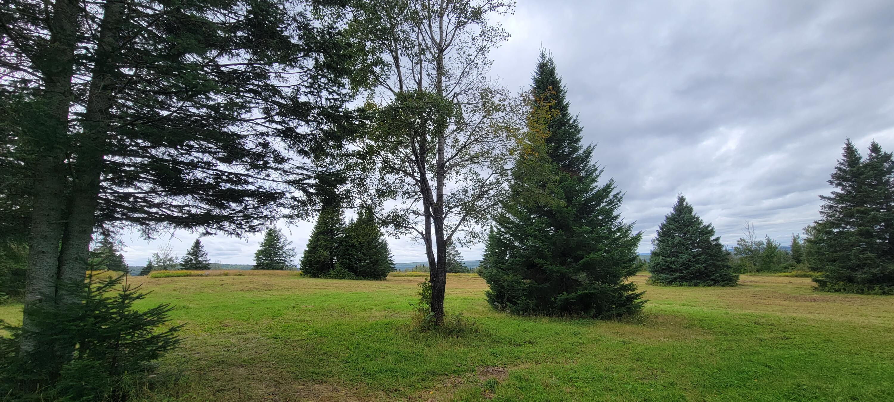 23 Map Road Grand Isle, ME 04746 - Photo 6 of 50 20230910_125830