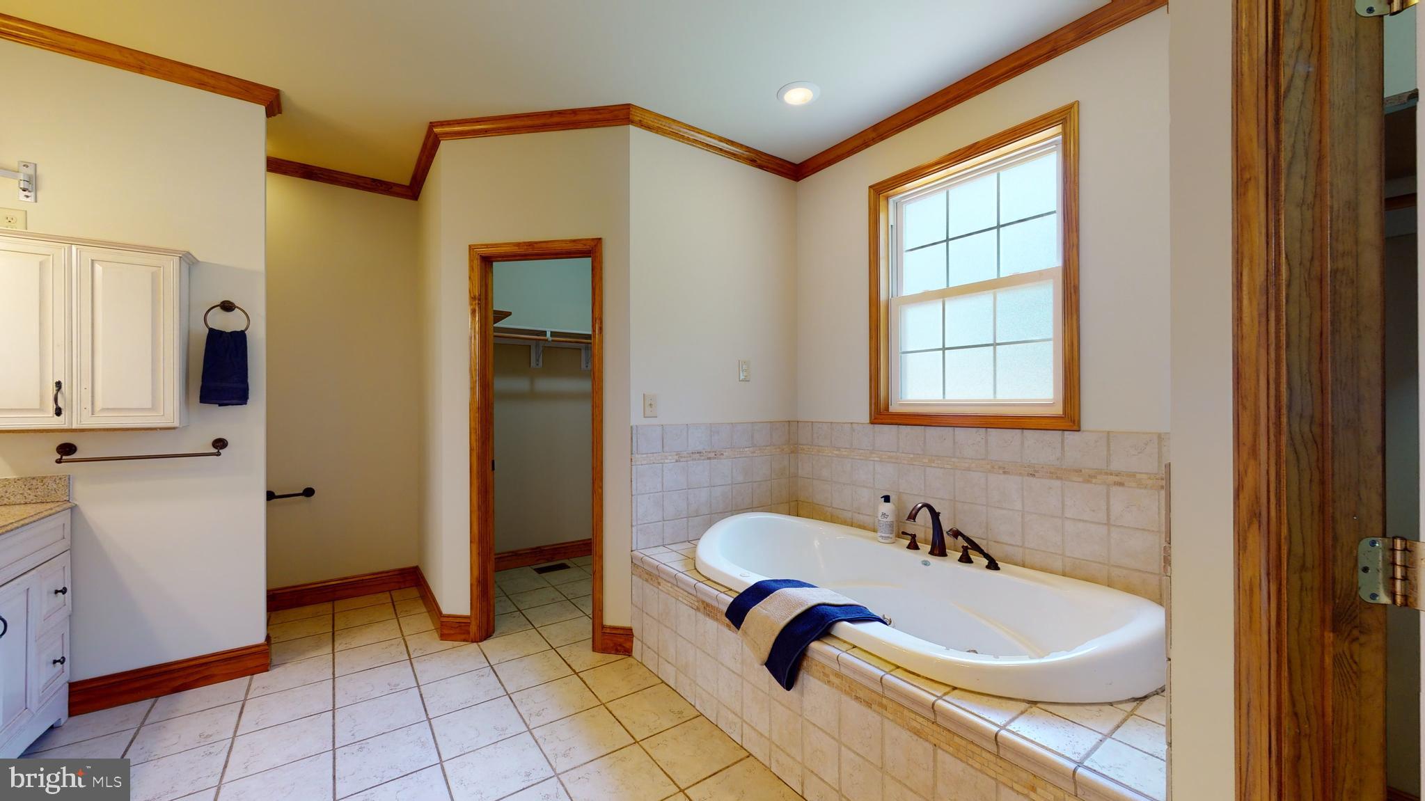 1096 CCC Road Linden, VA 22642 - Photo 11 of 45 Seperate water closet and view of the other closet