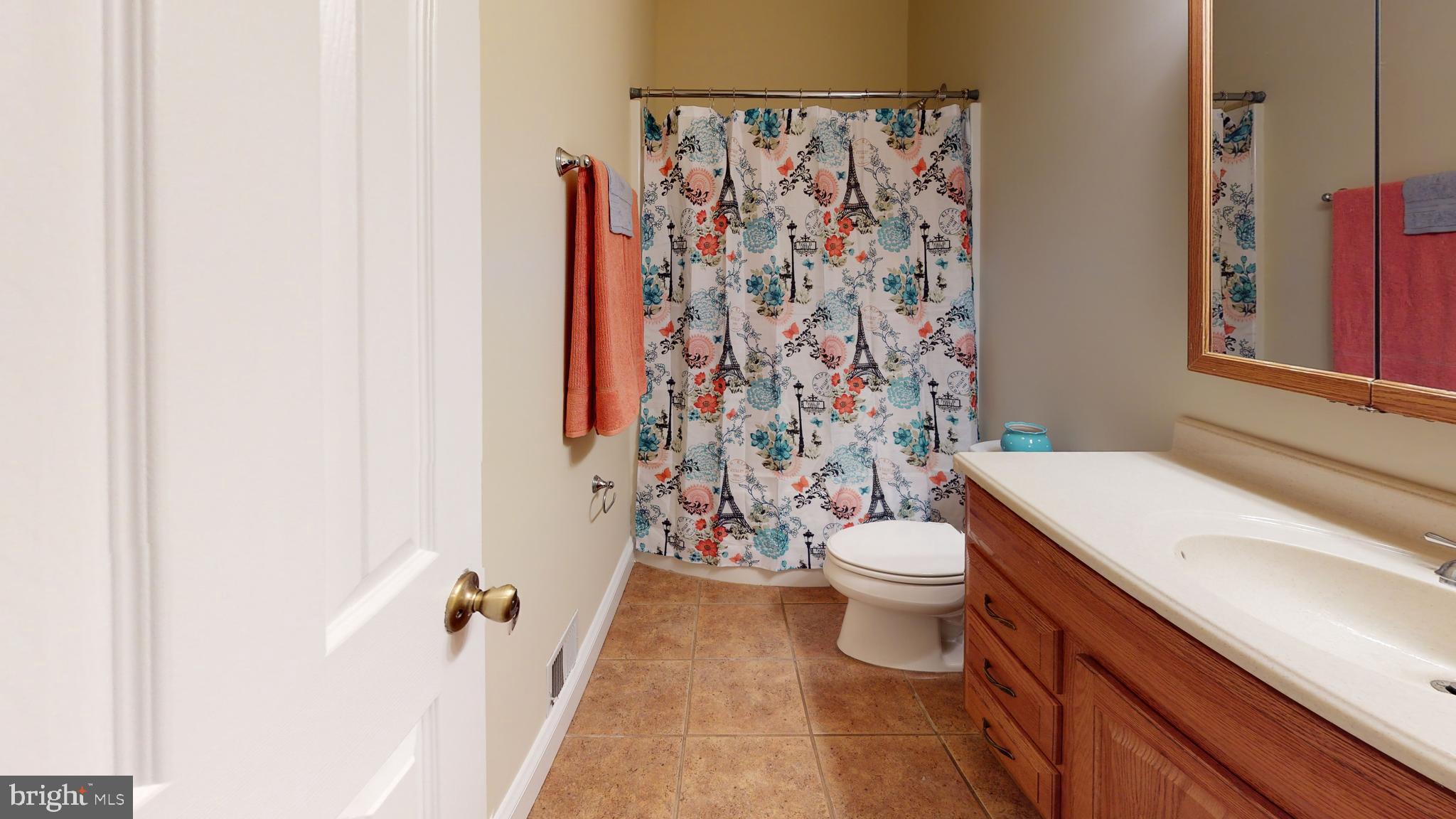 1096 CCC Road Linden, VA 22642 - Photo 14 of 45 Bathroom between the two bedroom s on right side