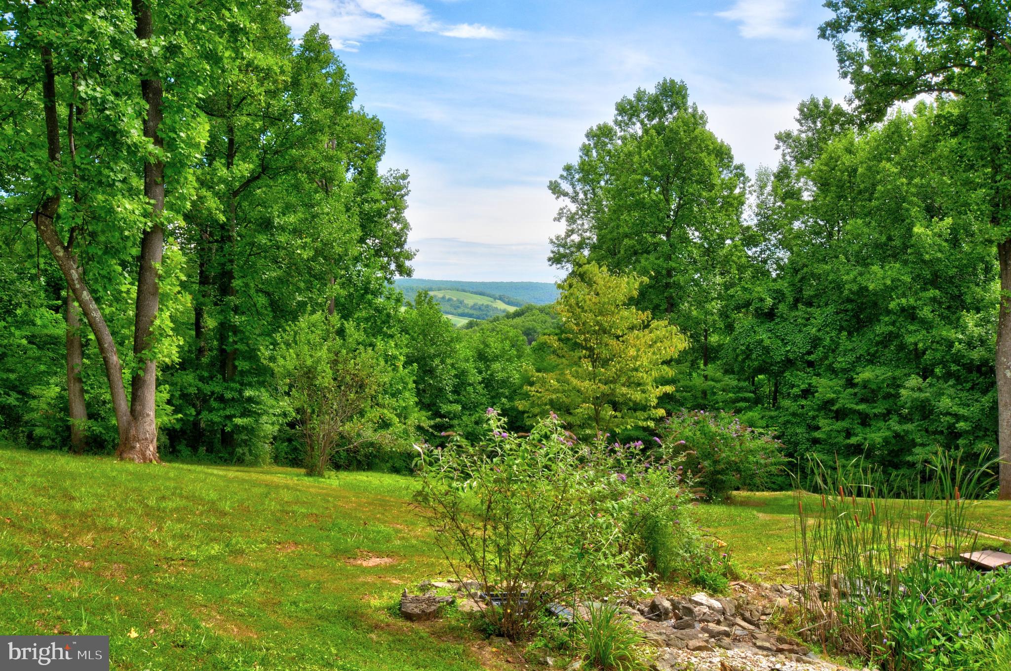1096 CCC Road Linden, VA 22642 - Photo 22 of 45 View from the backside of home
