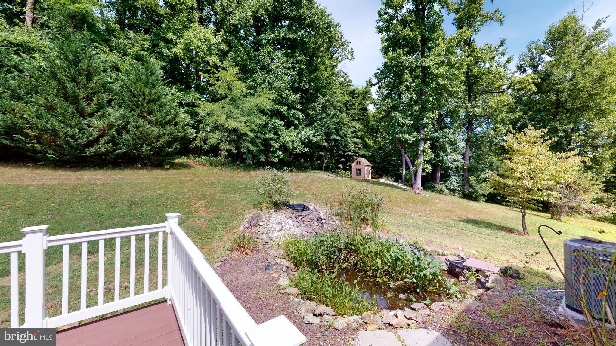 1096 CCC Road Linden, VA 22642 - Photo 29 of 45 A small fish pond waiting for someone to love it