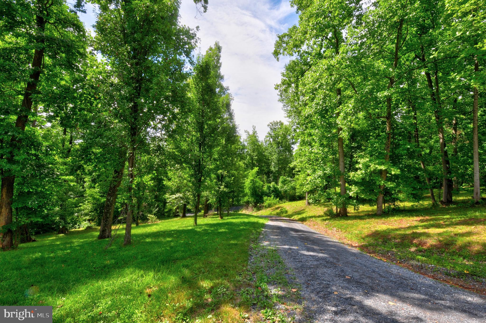 1096 CCC Road Linden, VA 22642 - Photo 37 of 45 View looking down the driveway
