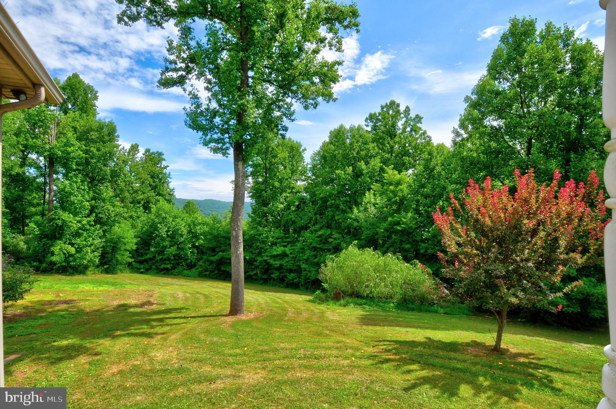 1096 CCC Road Linden, VA 22642 - Photo 39 of 45 View from the front yard