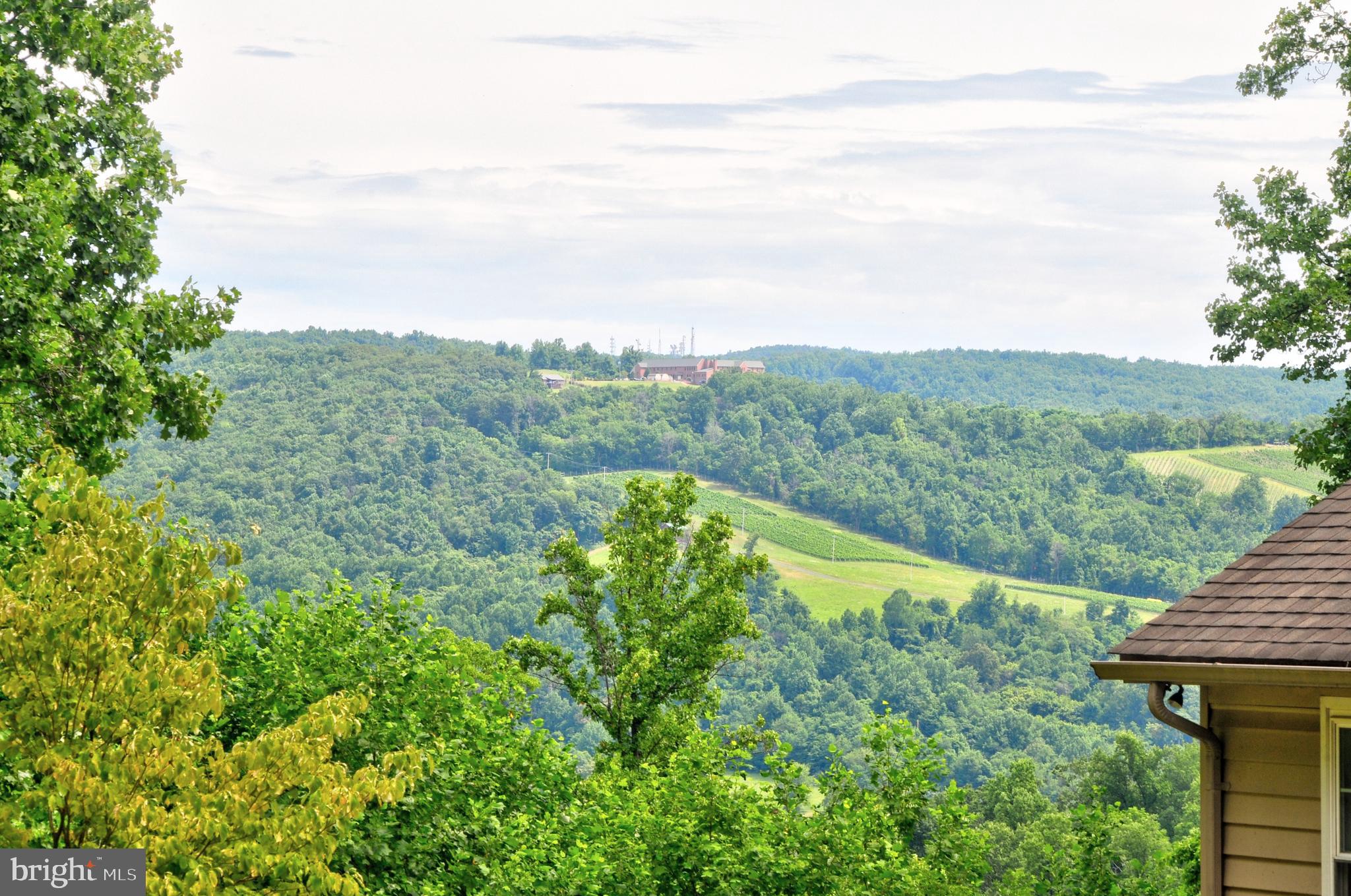 1096 CCC Road Linden, VA 22642 - Photo 42 of 45 Nice view