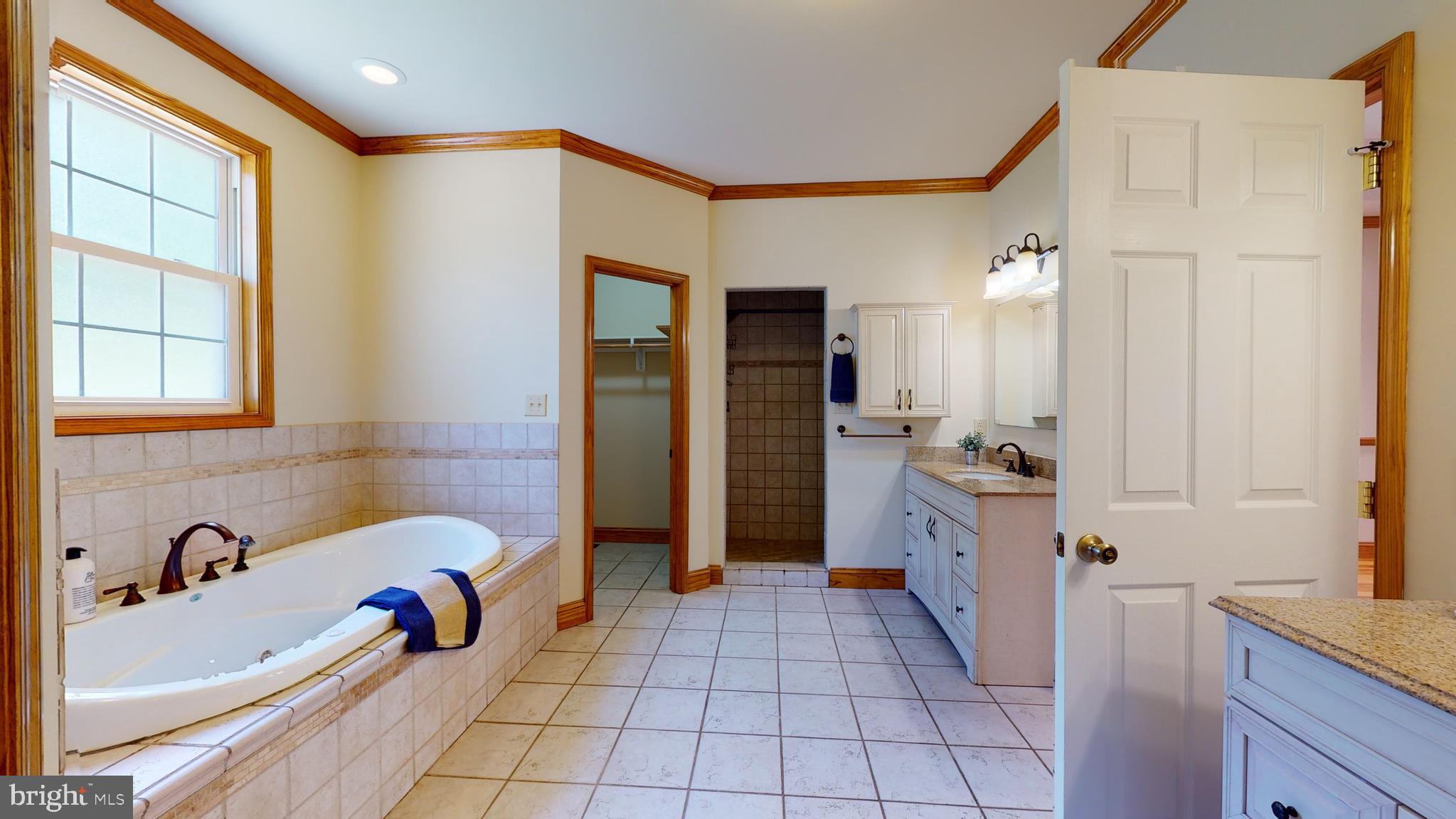 1096 CCC Road Linden, VA 22642 - Photo 10 of 45 Jetted tub, two walk-in closets & walk -in shower