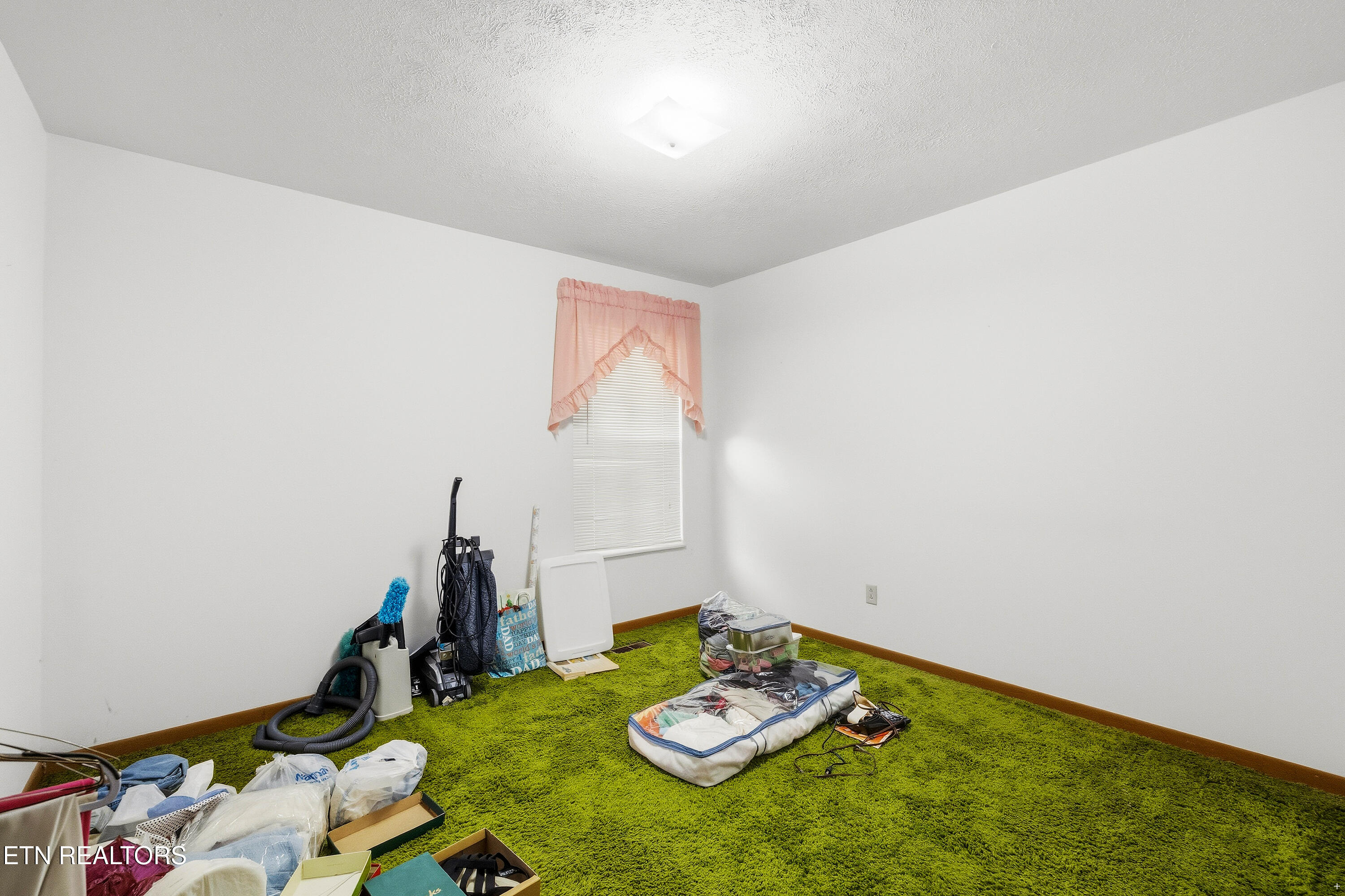 6216 McNeely Road Corryton, TN 37721 - Photo 16 of 23 Positive Perceptions-18