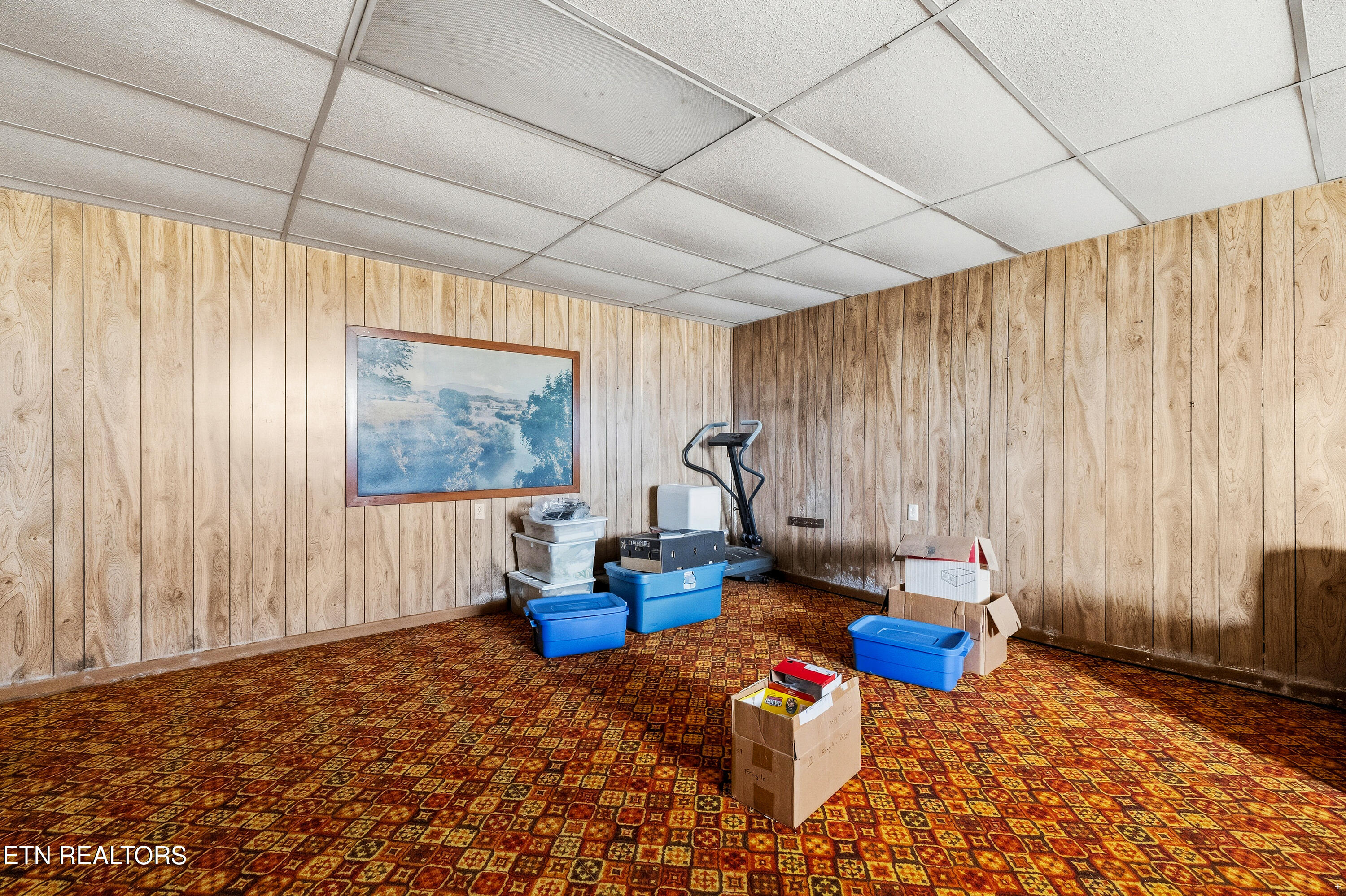 6216 McNeely Road Corryton, TN 37721 - Photo 17 of 23 Positive Perceptions-19