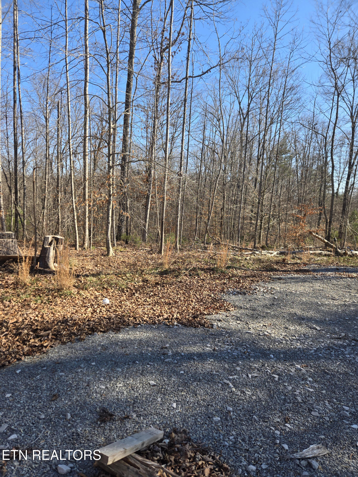 1434 Catoosa Road Wartburg, TN 37887 - Photo 1 of 8 2