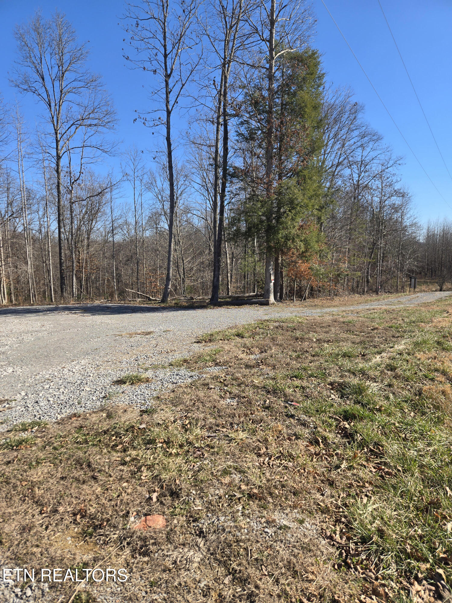 1434 Catoosa Road Wartburg, TN 37887 - Photo 2 of 8 1