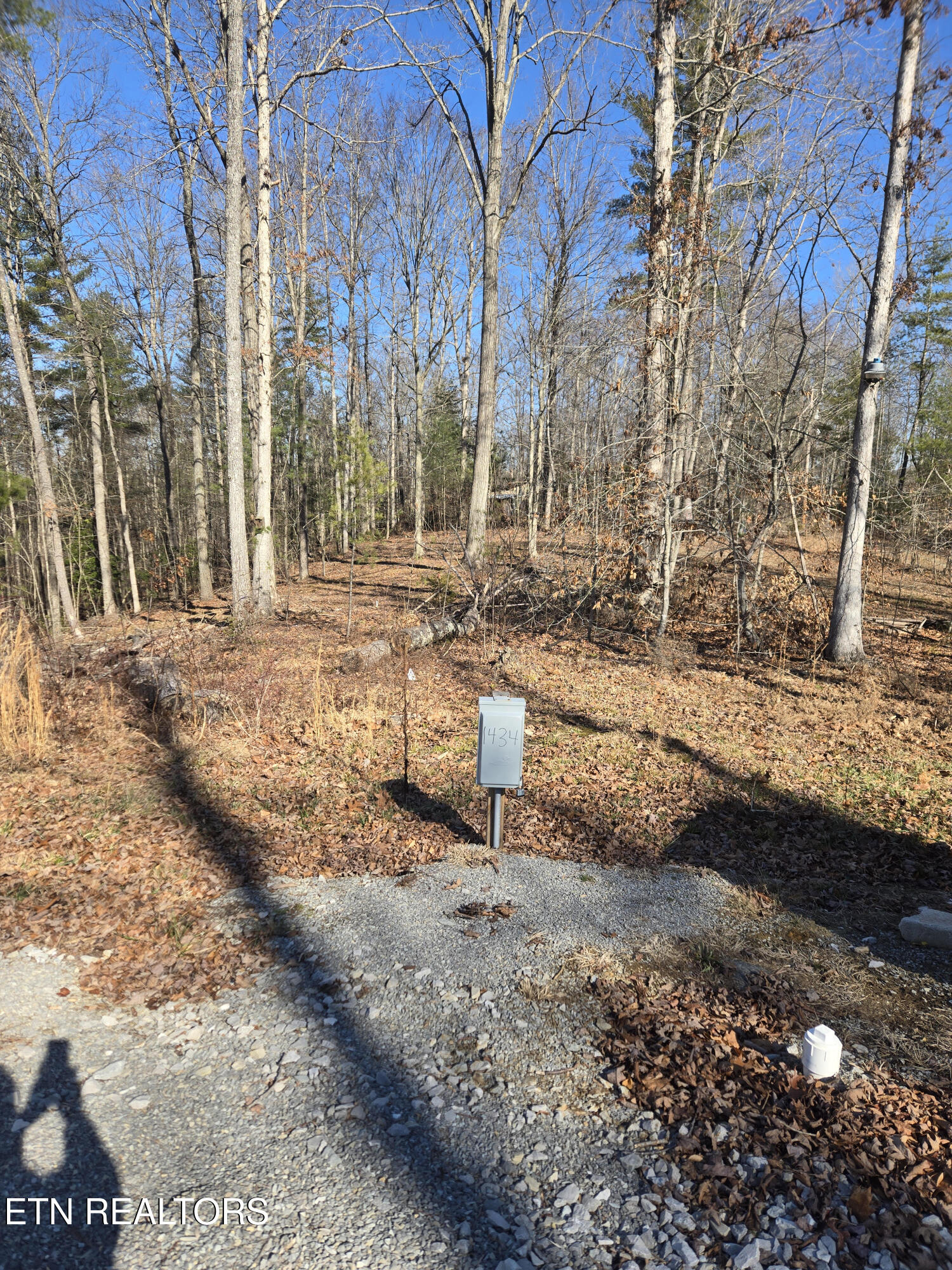 1434 Catoosa Road Wartburg, TN 37887 - Photo 4 of 8 4