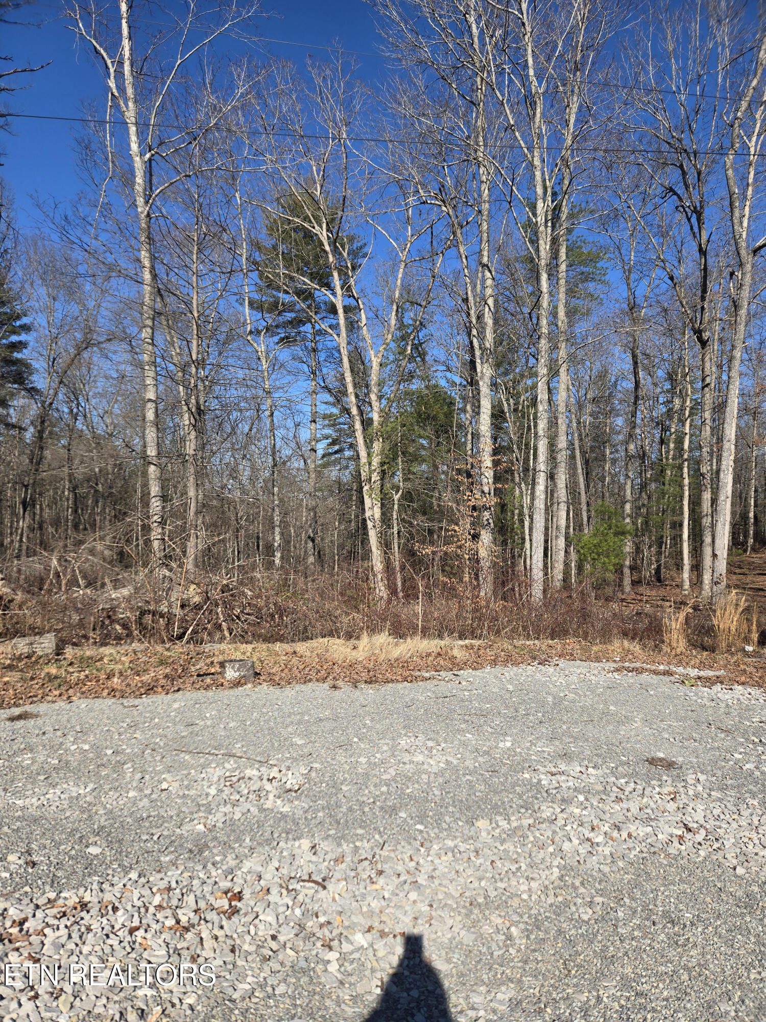 1434 Catoosa Road Wartburg, TN 37887 - Photo 5 of 8 5