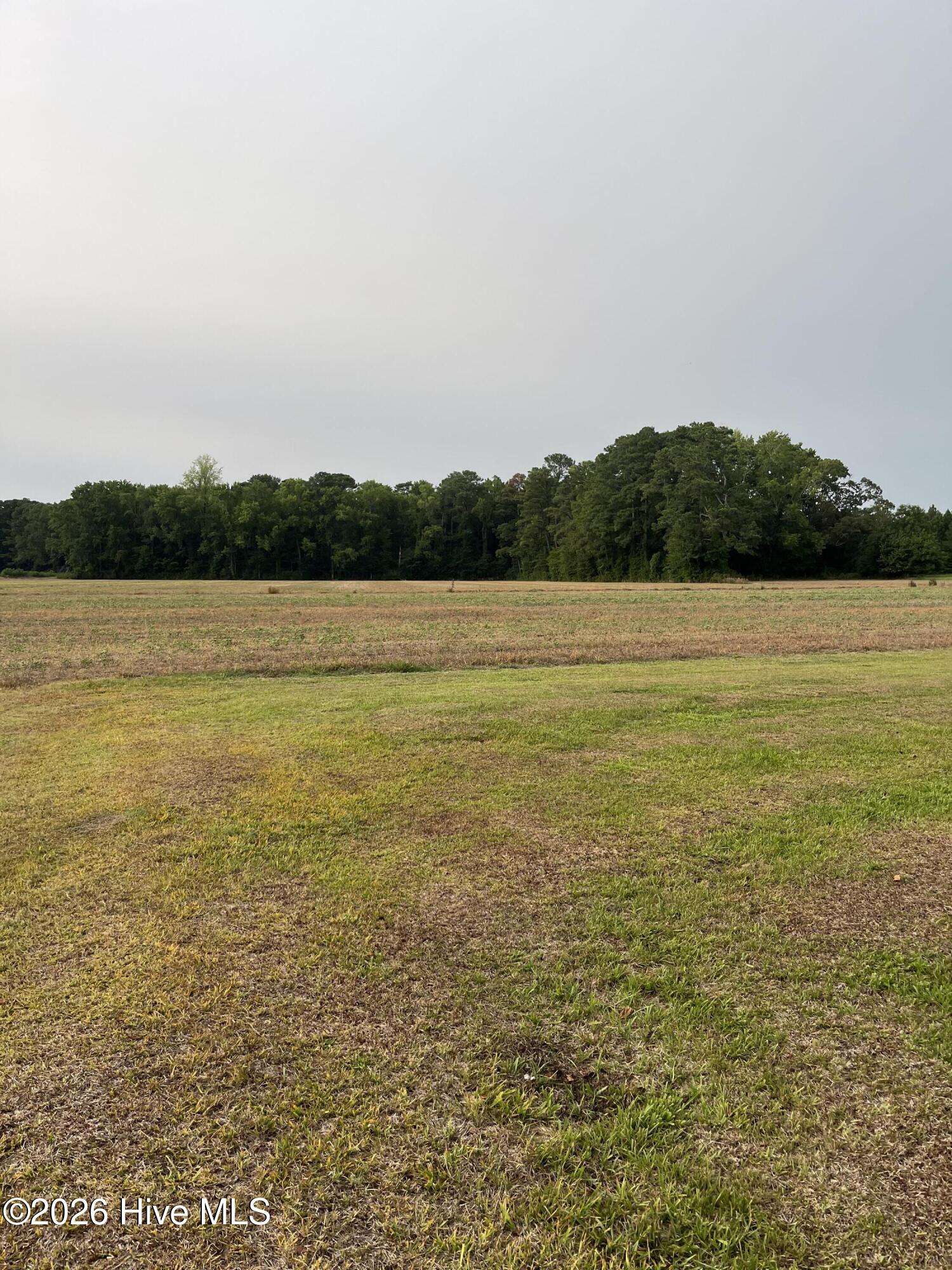 3091 Hudsons Crossroads Road Greenville, NC 27858 - Photo 4 of 22