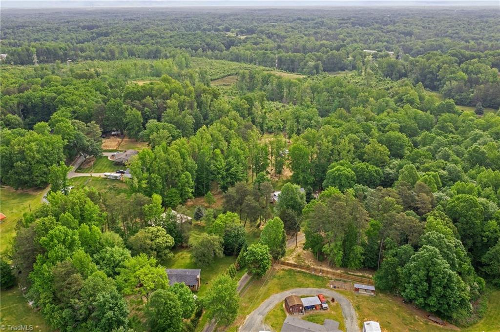 4689 Hastings Spring Road Walkertown, NC 27051 - Photo 46 of 50