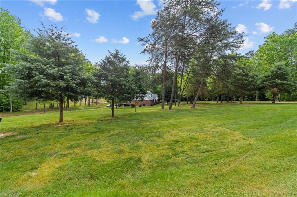 4689 Hastings Spring Road Walkertown, NC 27051 - Photo 8 of 50