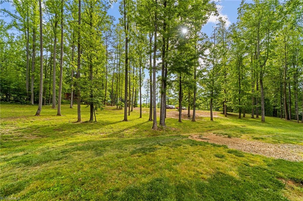 4689 Hastings Spring Road Walkertown, NC 27051 - Photo 9 of 50