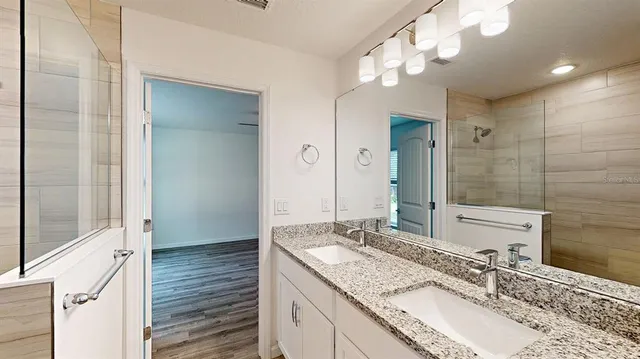 a bathroom with a sink and a mirror