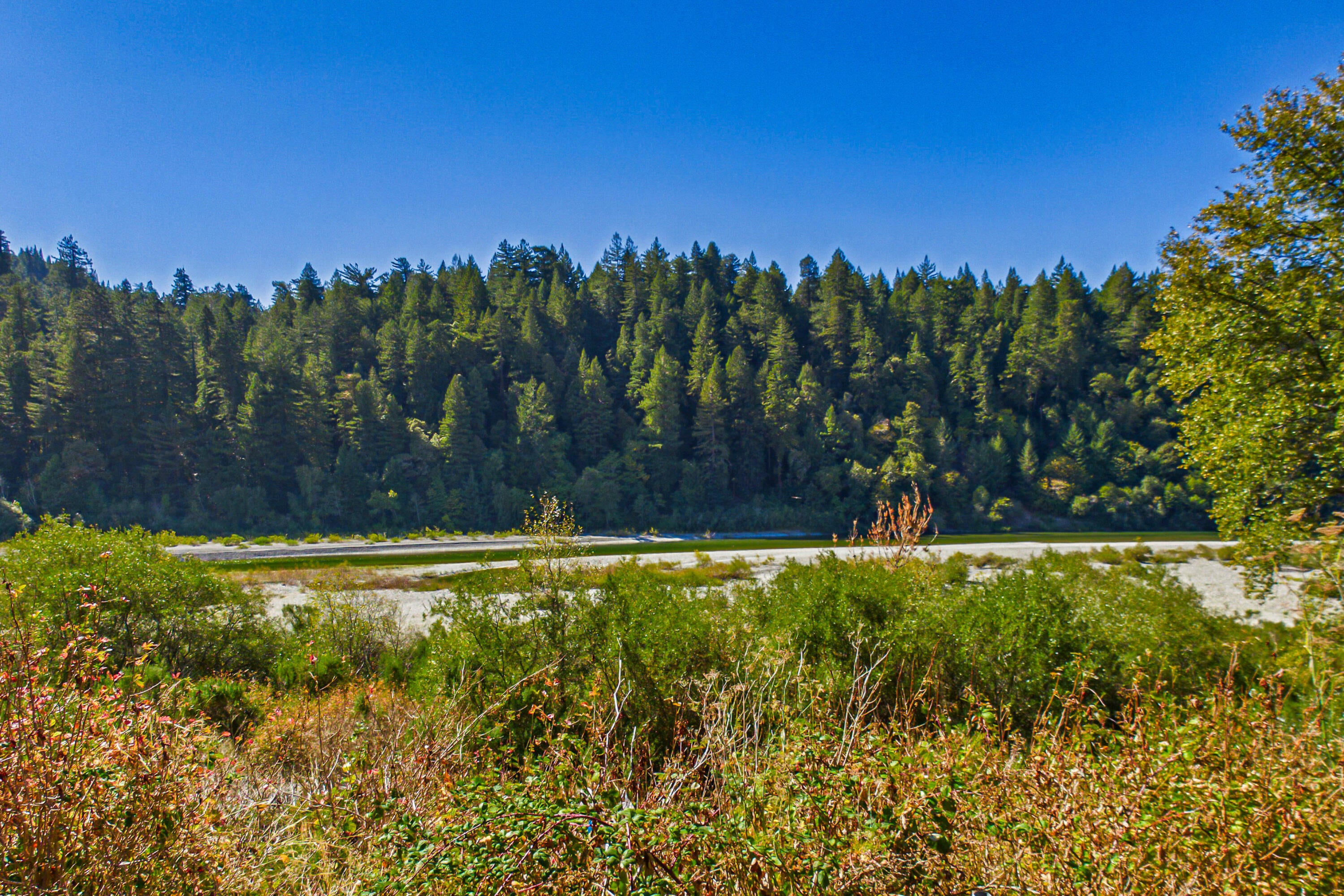 774 Larabee Creek Road Redcrest, CA 95569 - Photo 13 of 56 Gallery Image 13
