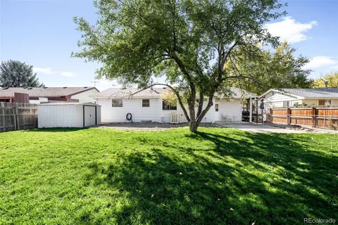 a view of a house with backyard and a tree