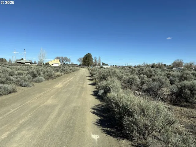 a view of a dry yard with trees