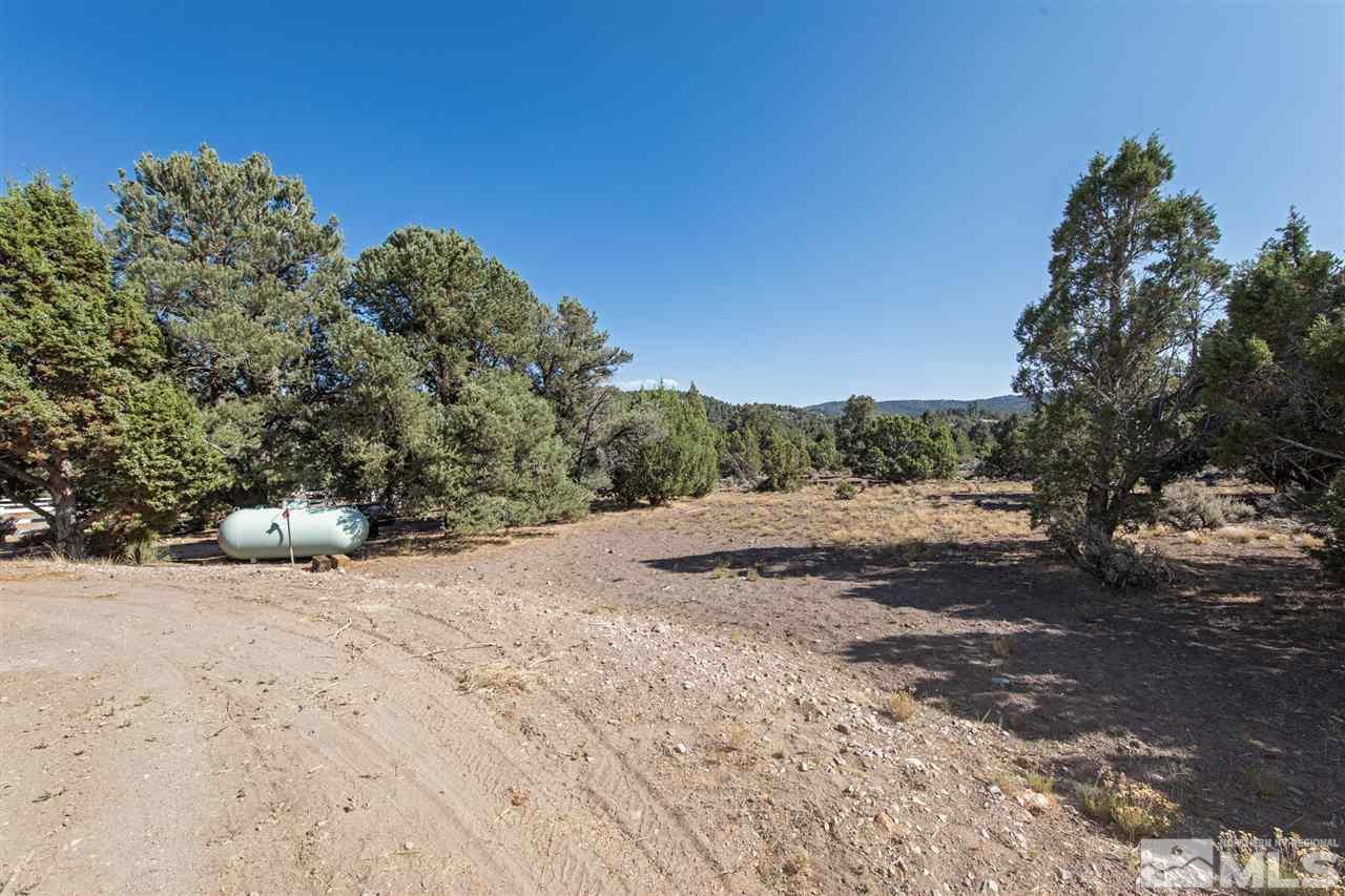 21859 Adobe Road Reno, NV 89521 - Photo 34 of 40 a view of a dirt road with trees in the background
